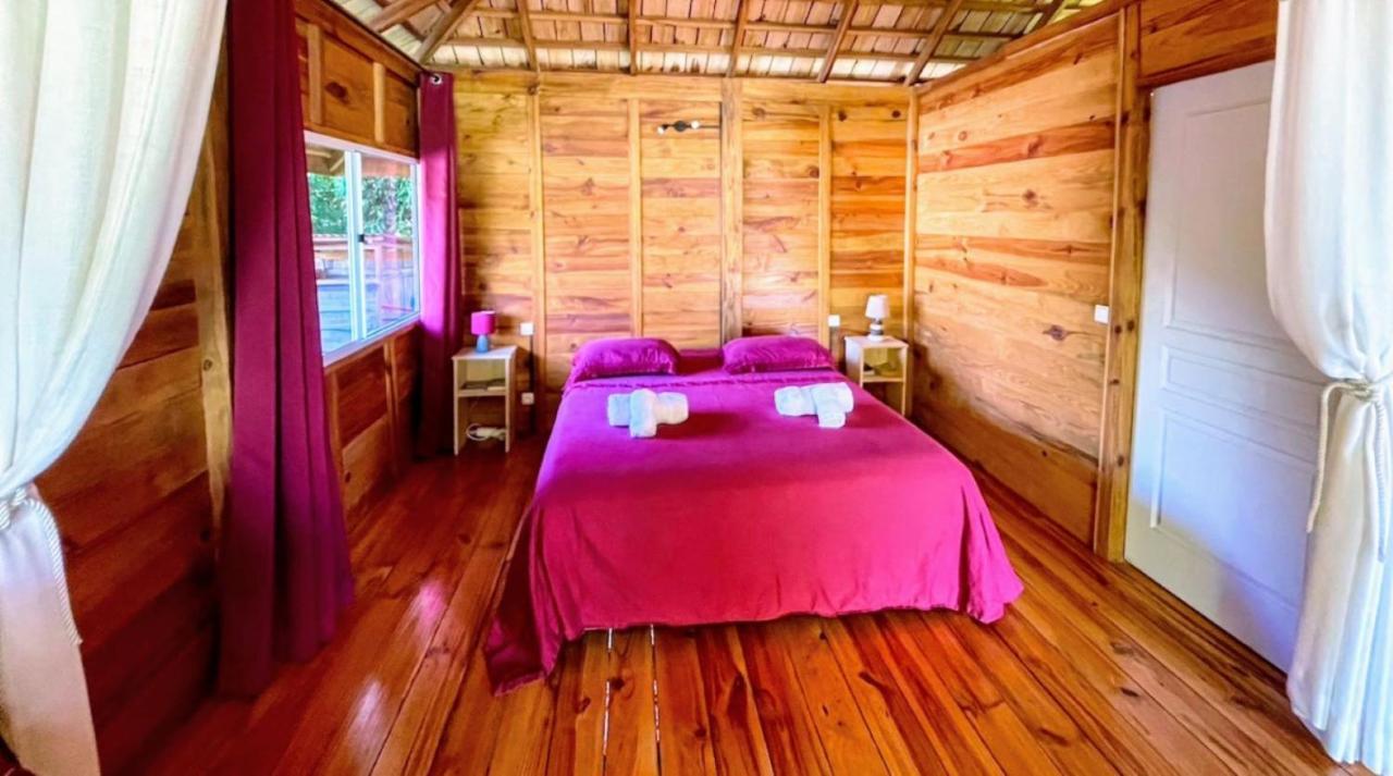 Raiatea - Orion Pool Bungalow Uturoa Ngoại thất bức ảnh